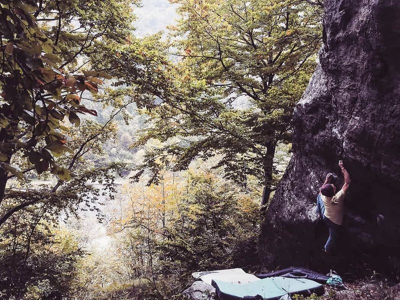 boulder su blocco in mezzo al bosco