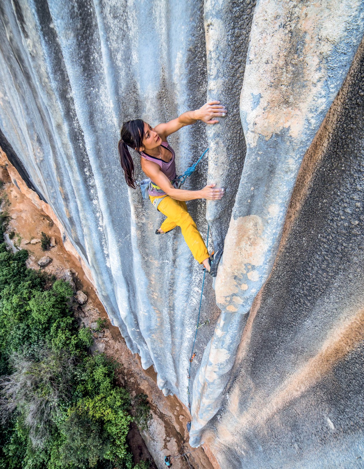 arrampicatrice su canne