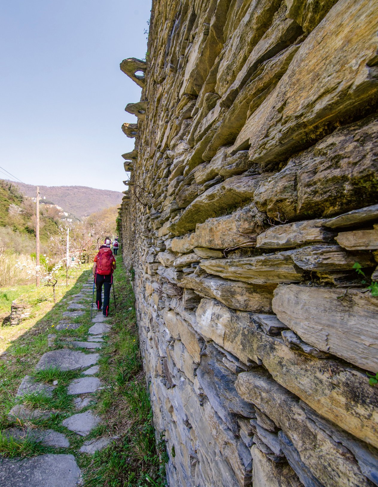 camminatore in ambiente