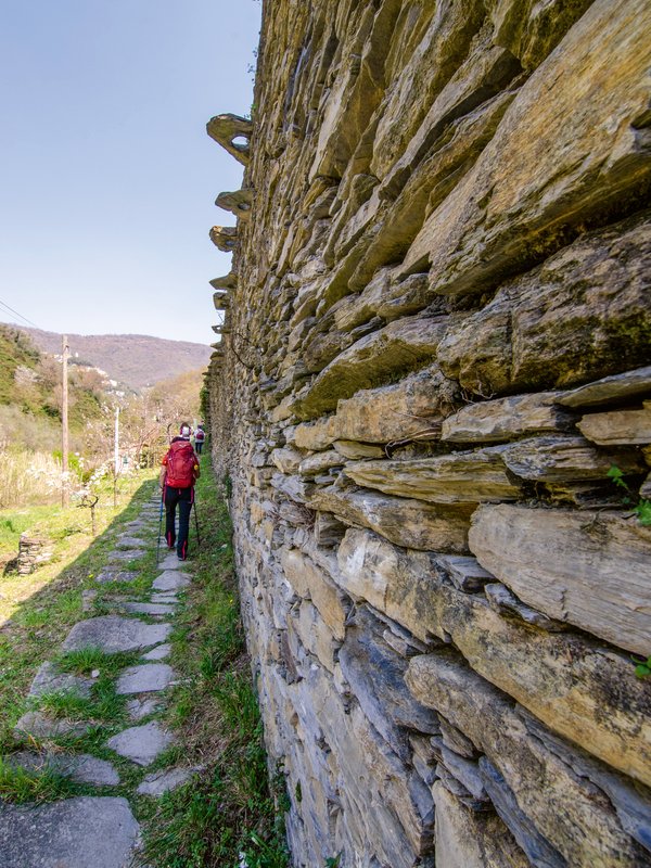camminatore in ambiente