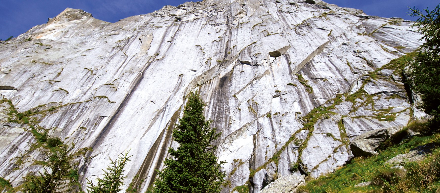 foto panoramica