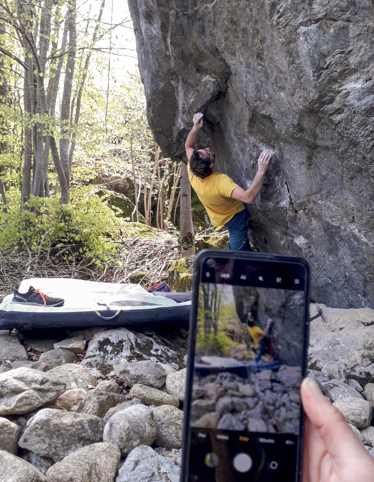 boulder in mezzo al bosco