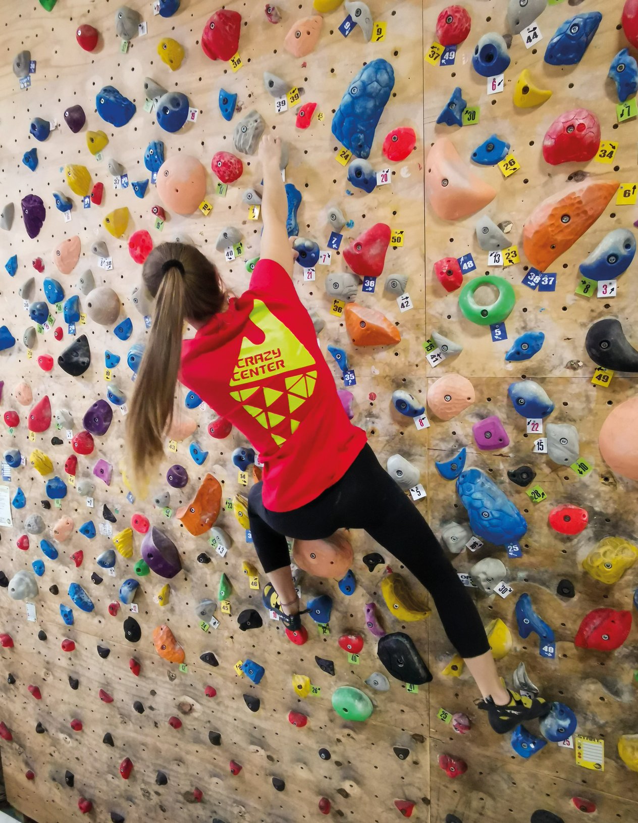 climber in palestra