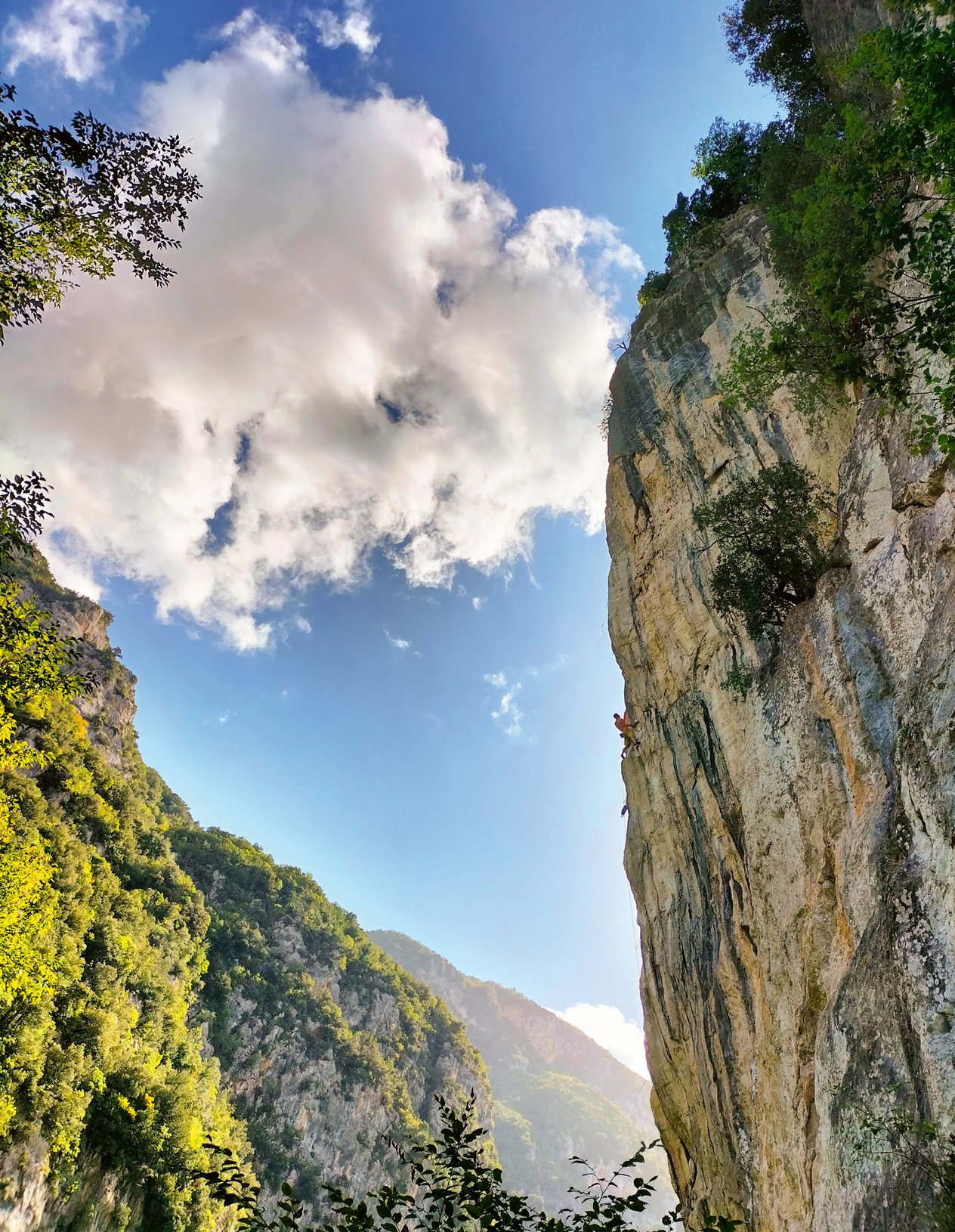 arrampicatore in parete