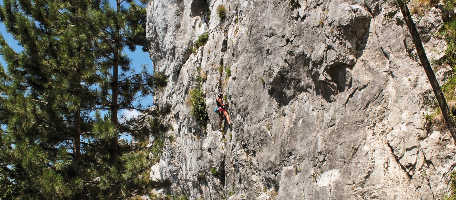 arrampicatrice in parete