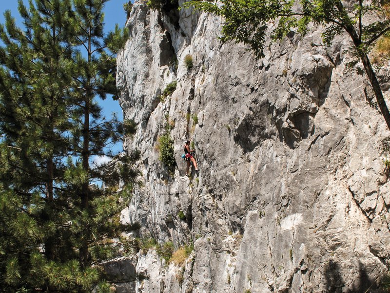 arrampicatrice in parete