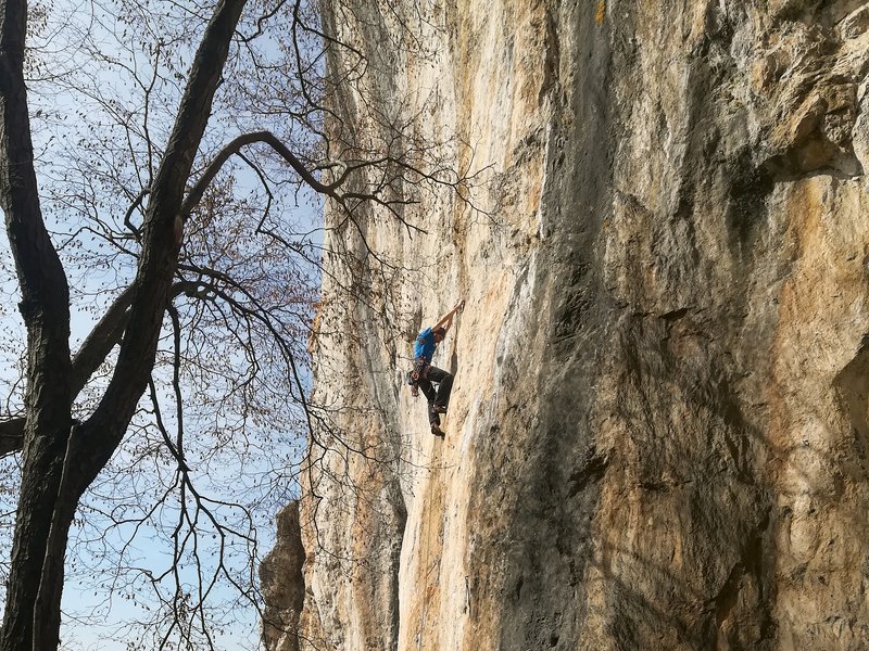 Climber in parete