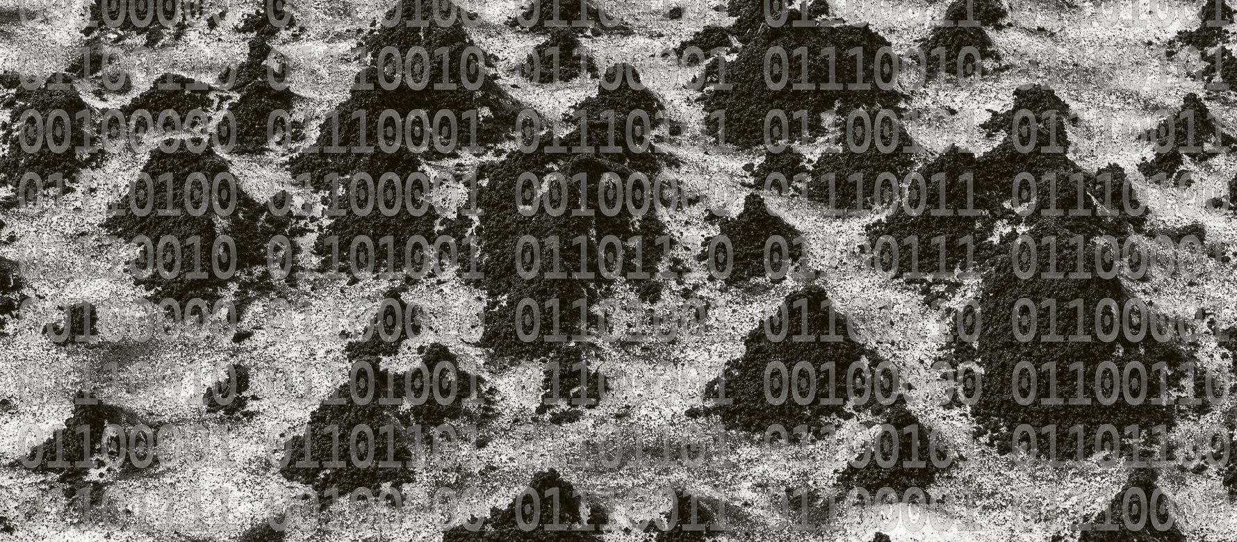 immagine digitale