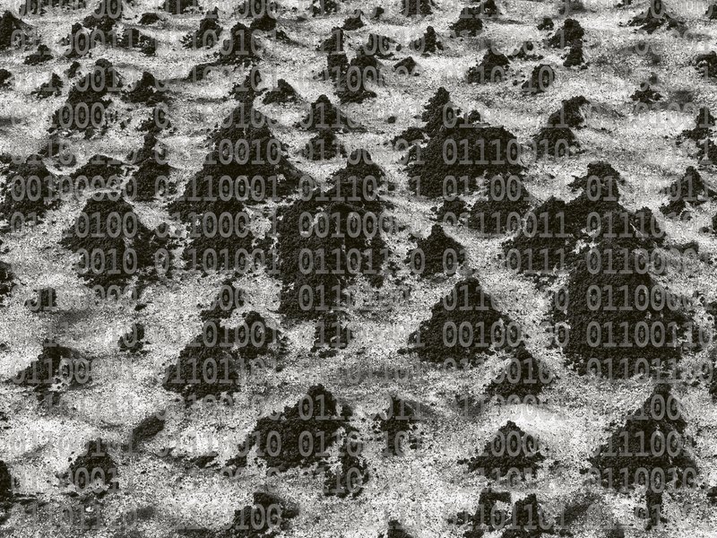 immagine digitale