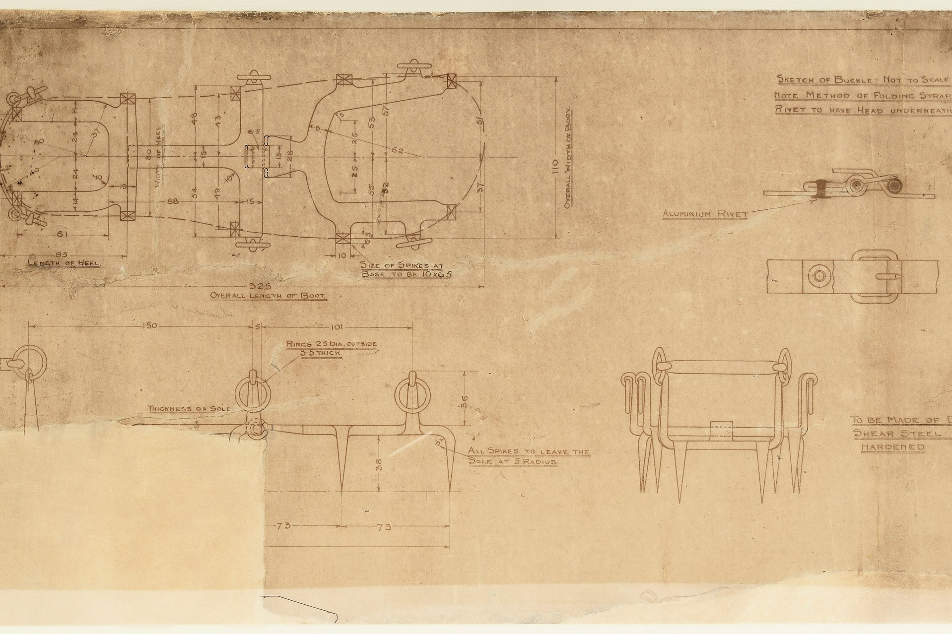 disegno