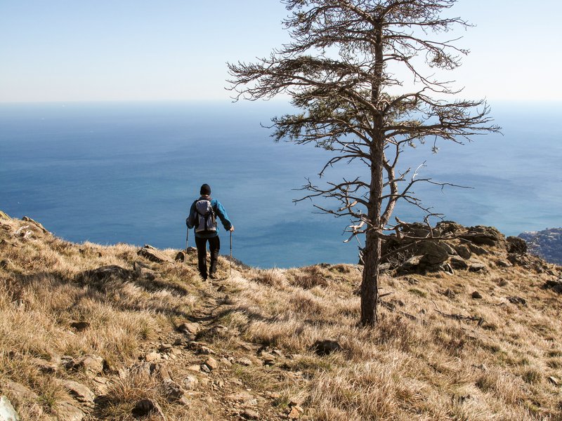 camminatore in ambiente