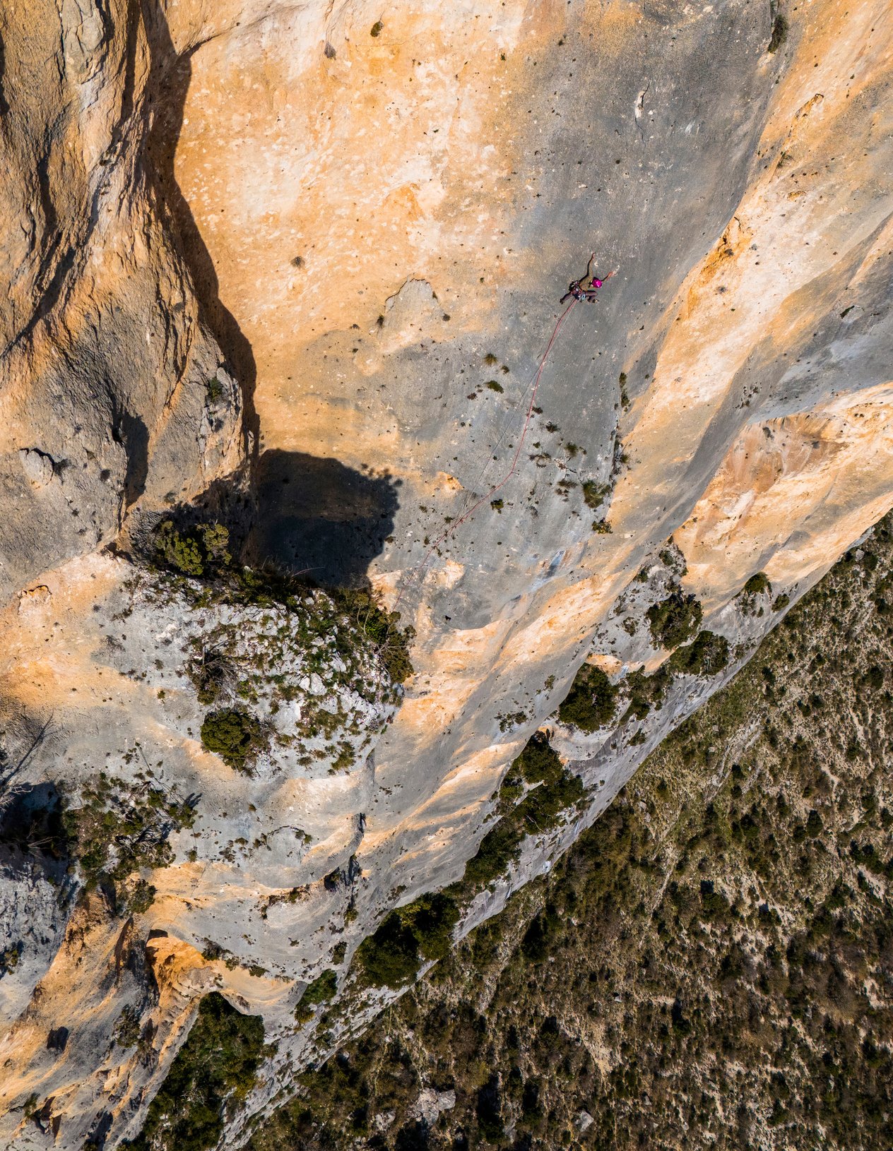 arrampicatrice in parete