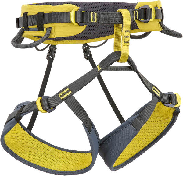 Climbing Technology Wall