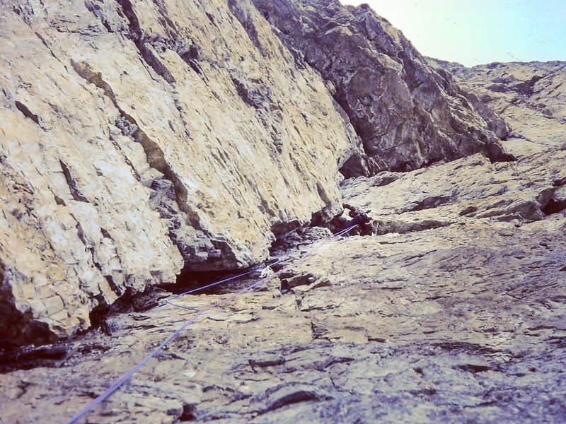 Climber in parete