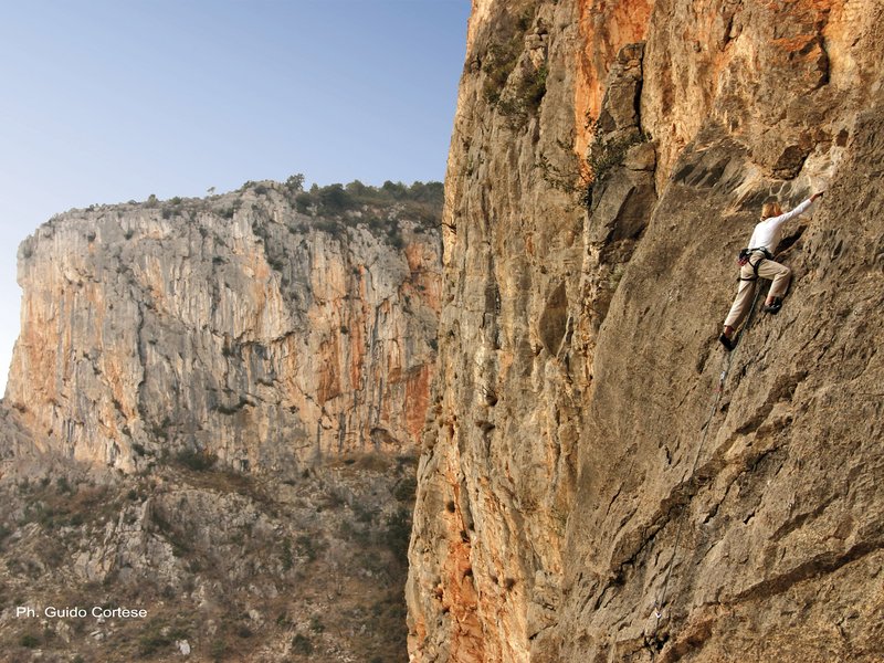 arrampicatrice in parete